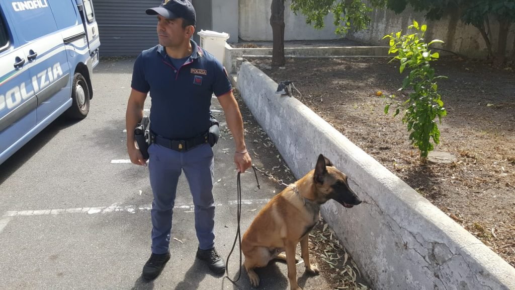 WhatsApp Image 2018 09 29 at 11.30.05 1