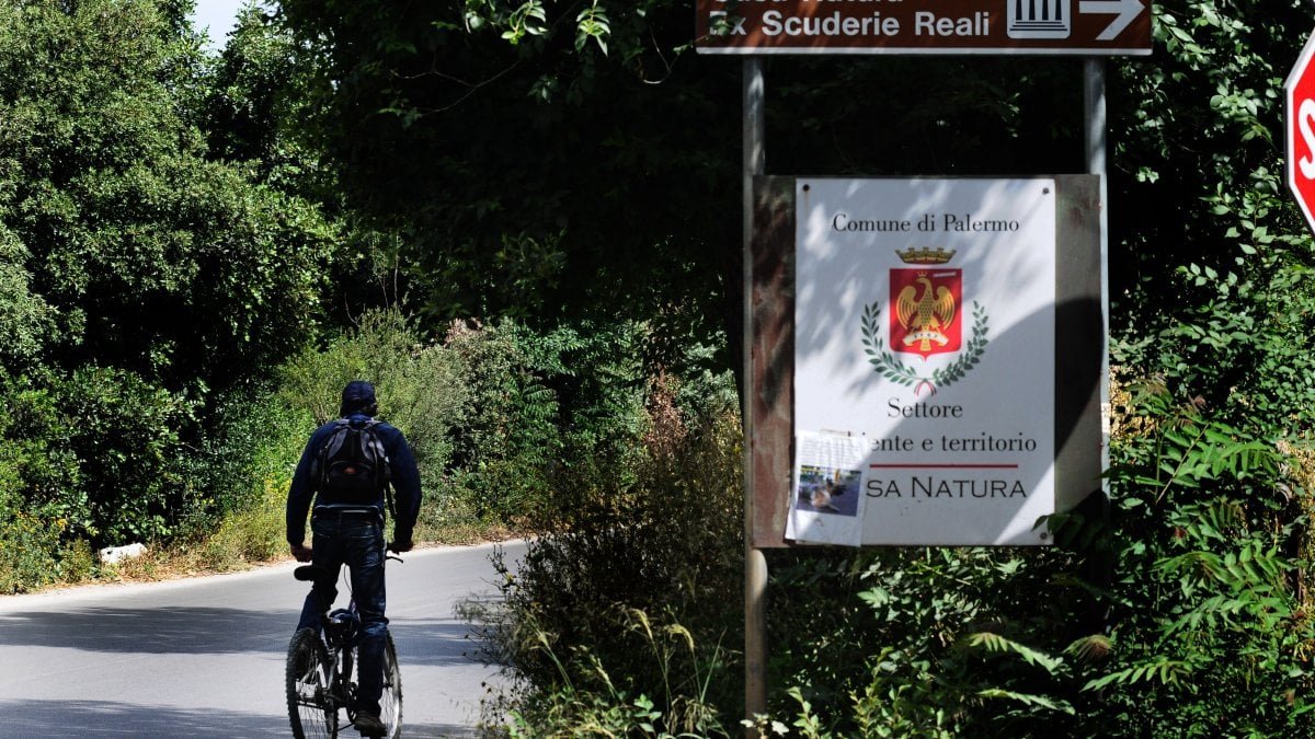 Donna viene aggredita mentre fa jogging. Tentato abuso sessuale al Parco della Favorita a Palermo 1 Palermo, aggredita mentre fa jogging: violenza sessuale alla Favorita