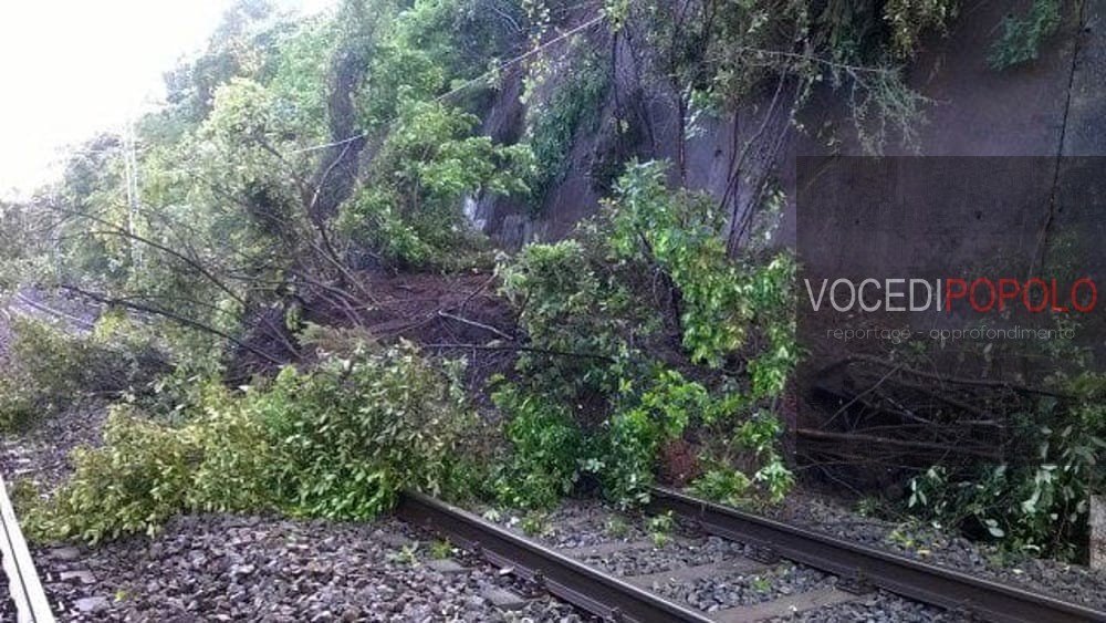 Maltempo: albero su binari, ritardi tra Palermo e Messina 1 albero binari ferrivia treno 3