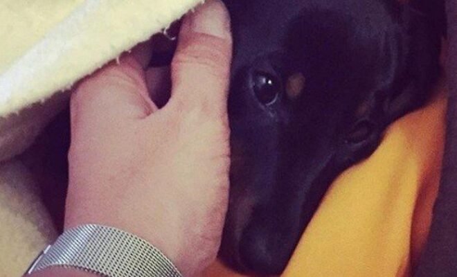 Voce di Sicilia 51 voce di Sicilia