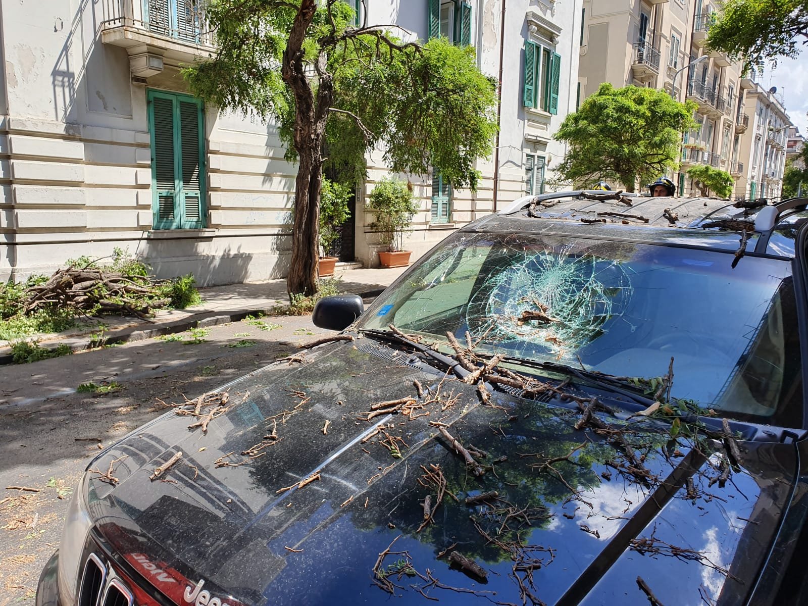 Grosso ramo cade su Jeep in via Risorgimento 1 WhatsApp Image 2019 07 11 at 15.35.03