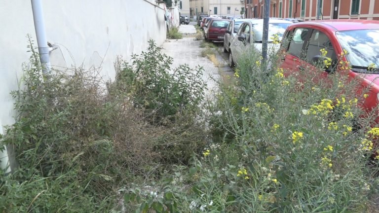 Messina e il degrado della "FASE 2": dal "salotto" di piazza Unione Europea alla SELVA delle vie periferiche