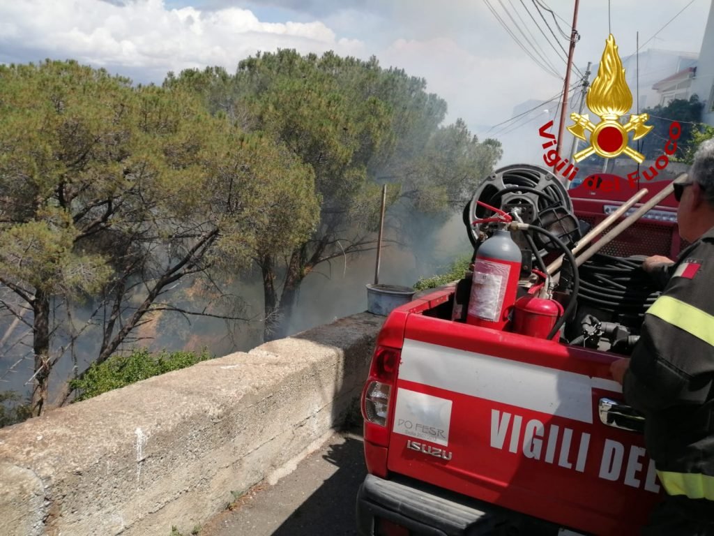 D906EF56 F1D8 4D68 BC7B B3AC137673E4