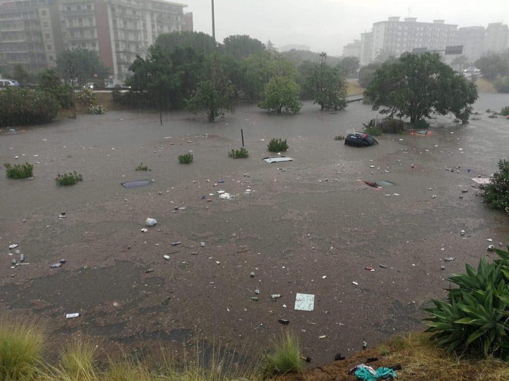 WhatsApp Image 2020 07 15 at 20.28.48