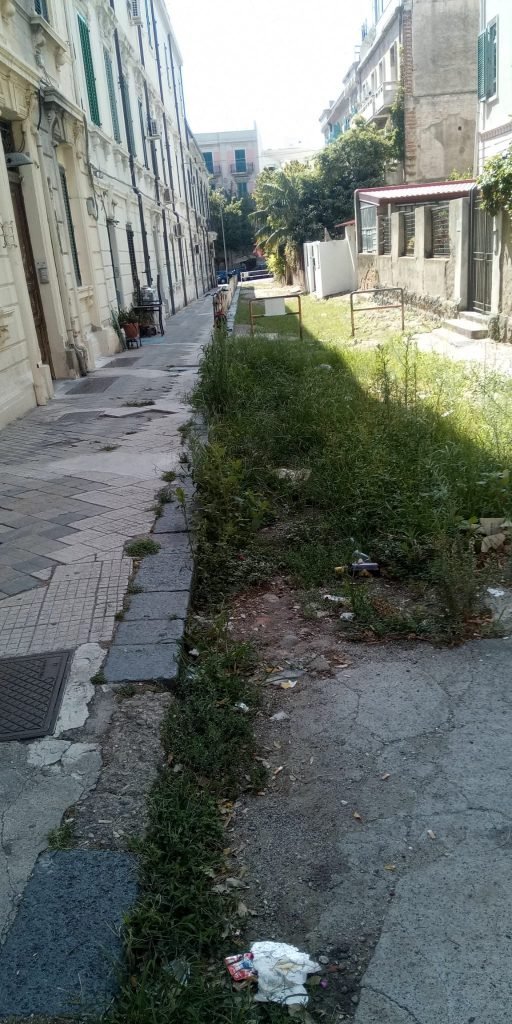 WhatsApp Image 2020 07 22 at 10.27.50