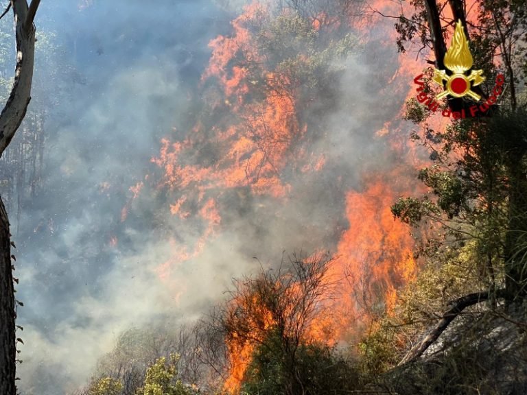 Incendio di vegetazione tra Tarantonio e Salice. I vigili del fuoco sul posto