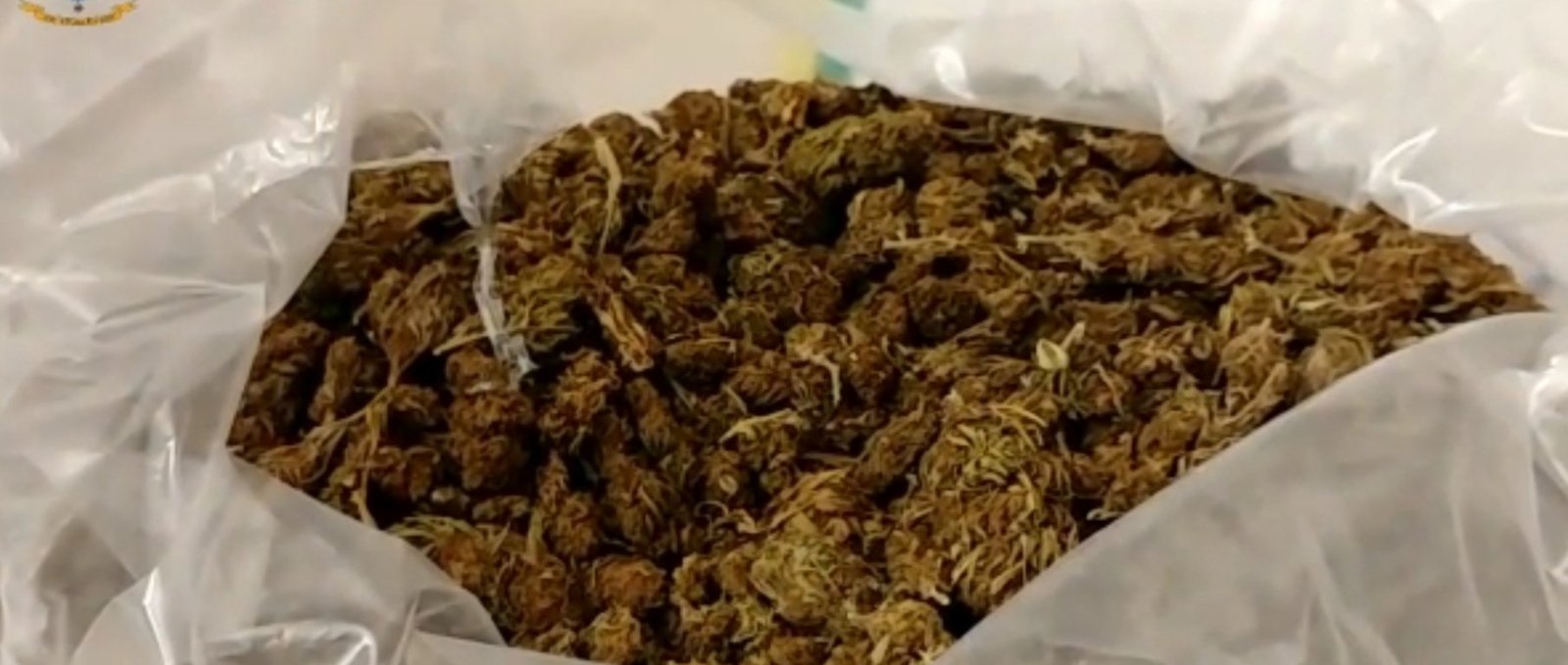 Cinque chili di marijuana in un pacco postale dalla Sardegna a Messina. Sequestrati dalla Guardia di Finanza 1 IMG 20201029 082620