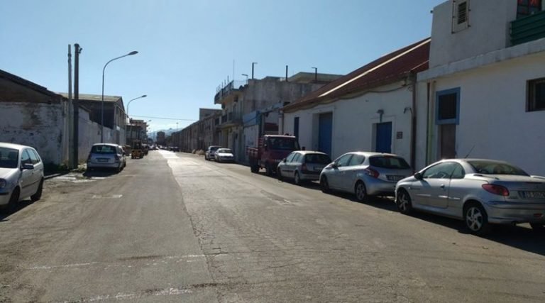 Completato lo spostamento dei gatti della colonia di Via Don Blasco