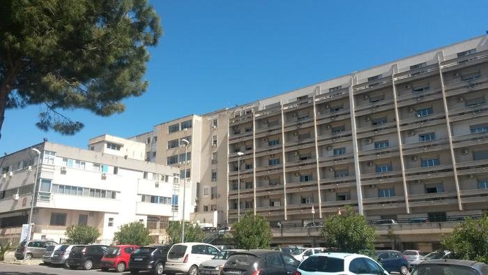 Malato di Covid si lancia dal terzo piano dell'ospedale dove era ricoverato 1 opsedale cervello