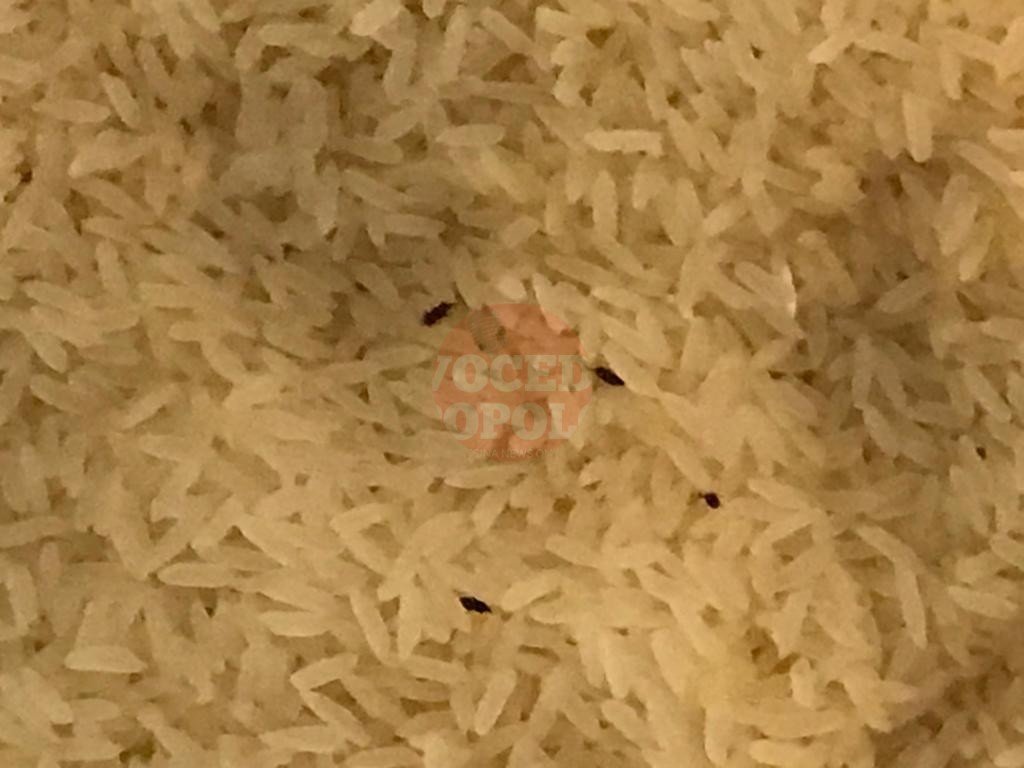 La Polizia Municipale deferisce titola negozio e sequestra alimenti invasi da parassiti 10 4 8