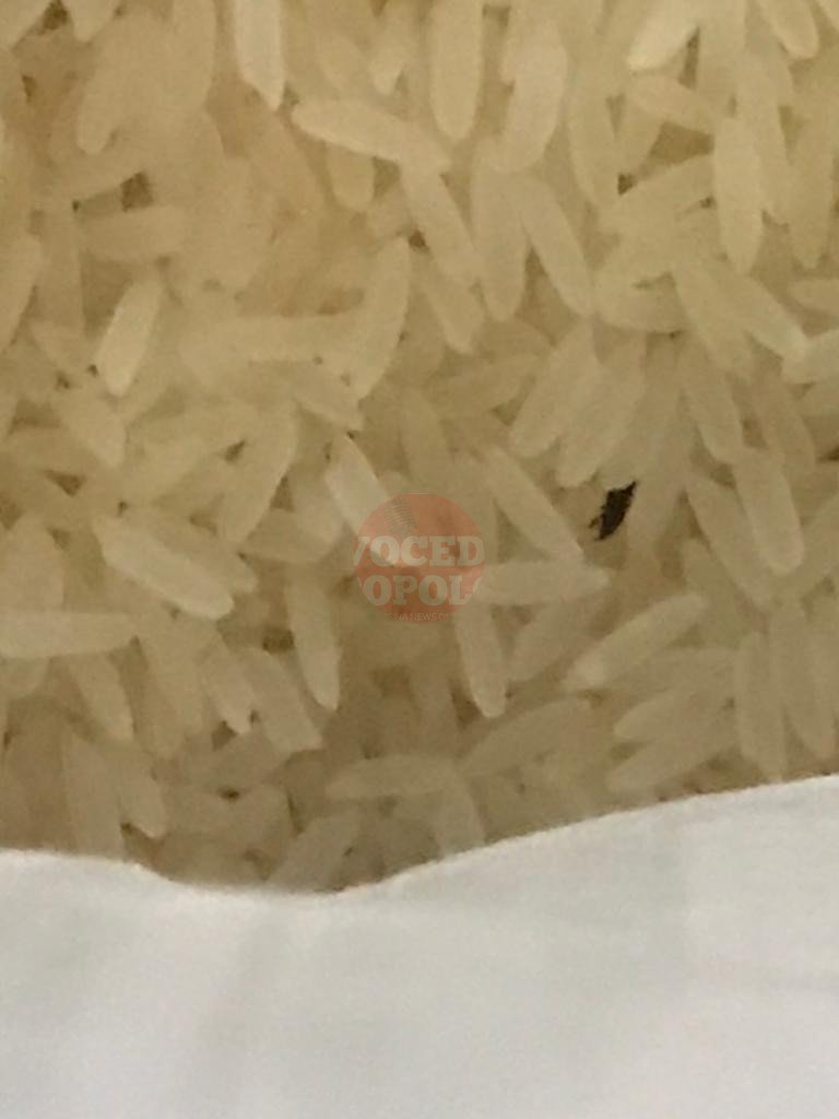 La Polizia Municipale deferisce titola negozio e sequestra alimenti invasi da parassiti 9 5 7