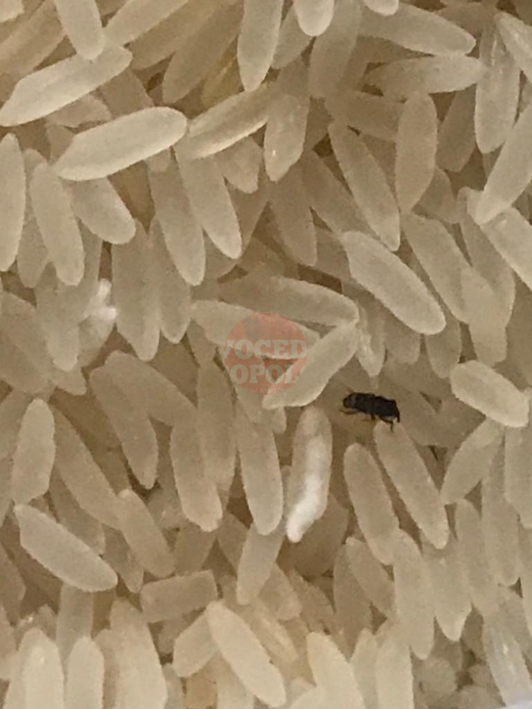 La Polizia Municipale deferisce titola negozio e sequestra alimenti invasi da parassiti 7 7 5