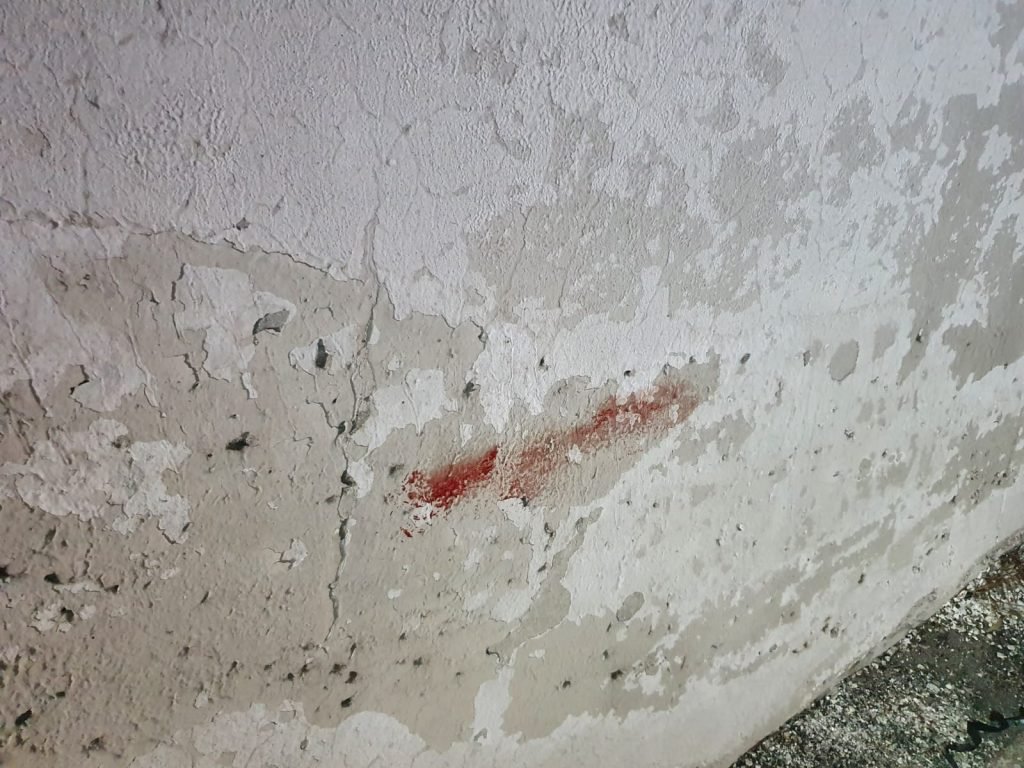 WhatsApp Image 2021 01 07 at 10.06.40