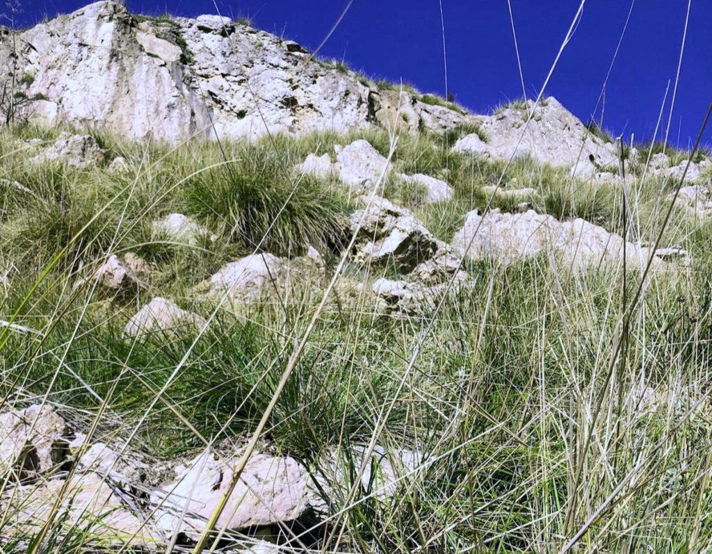 Recuperato dai Vigili del Fuoco il corpo di Roberto Garigale. Il cacciatore morto a Roccafiorita 3 WhatsApp Image 2021 01 08 at 13.00.47