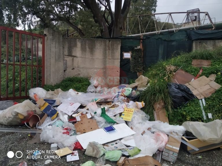 Attività della Polizia Specialistica: supermercato in zona sud abbandona rifiuti nel torrente di Larderia
