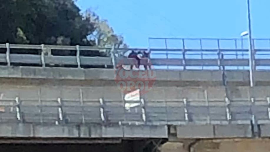 WhatsApp Image 2021 04 09 at 16.22.23