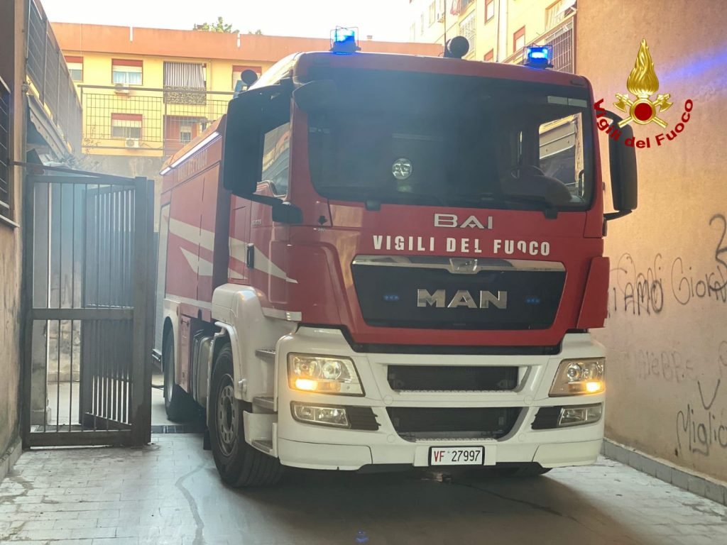 CF7E88D1 5F35 4192 94B5 C8287D7465F7