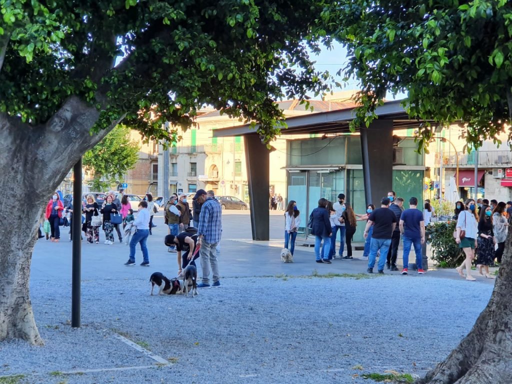 WhatsApp Image 2021 05 16 at 18.45.26