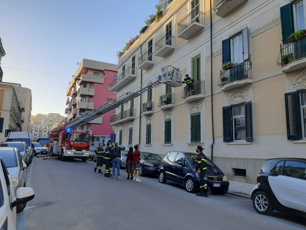 WhatsApp Image 2021 05 17 at 21.00.22