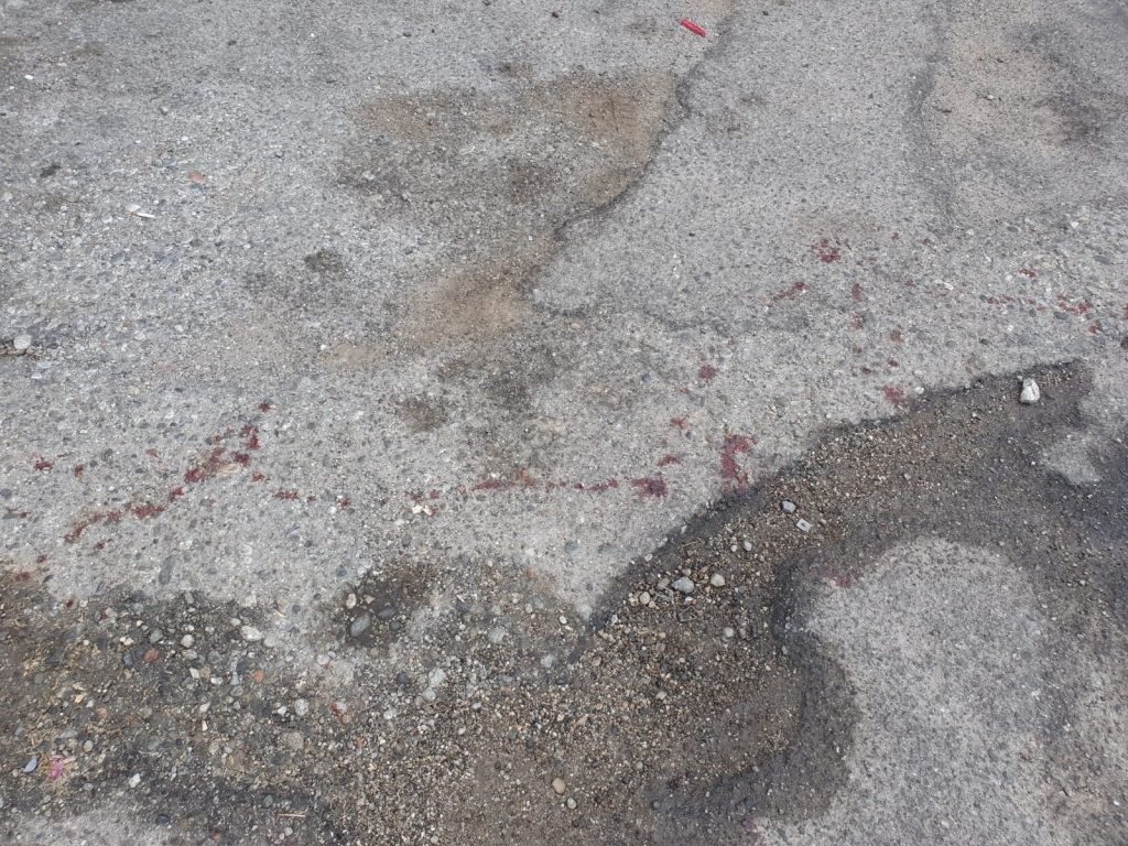 WhatsApp Image 2021 05 31 at 11.00.13 1