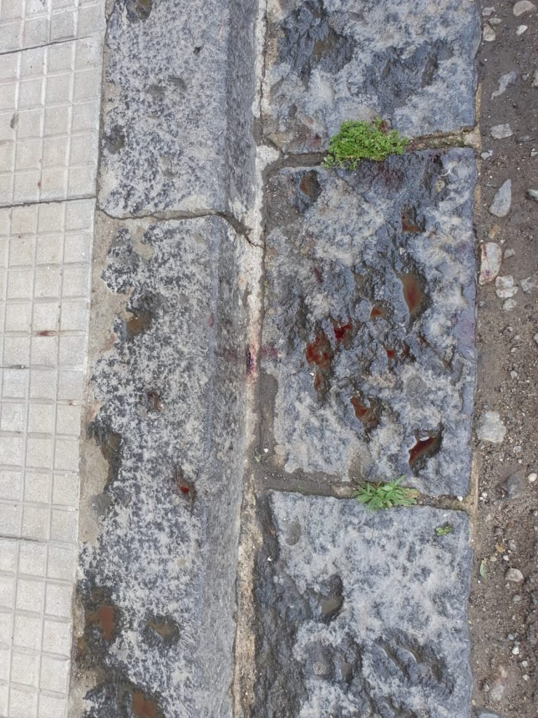 WhatsApp Image 2021 05 31 at 11.00.13