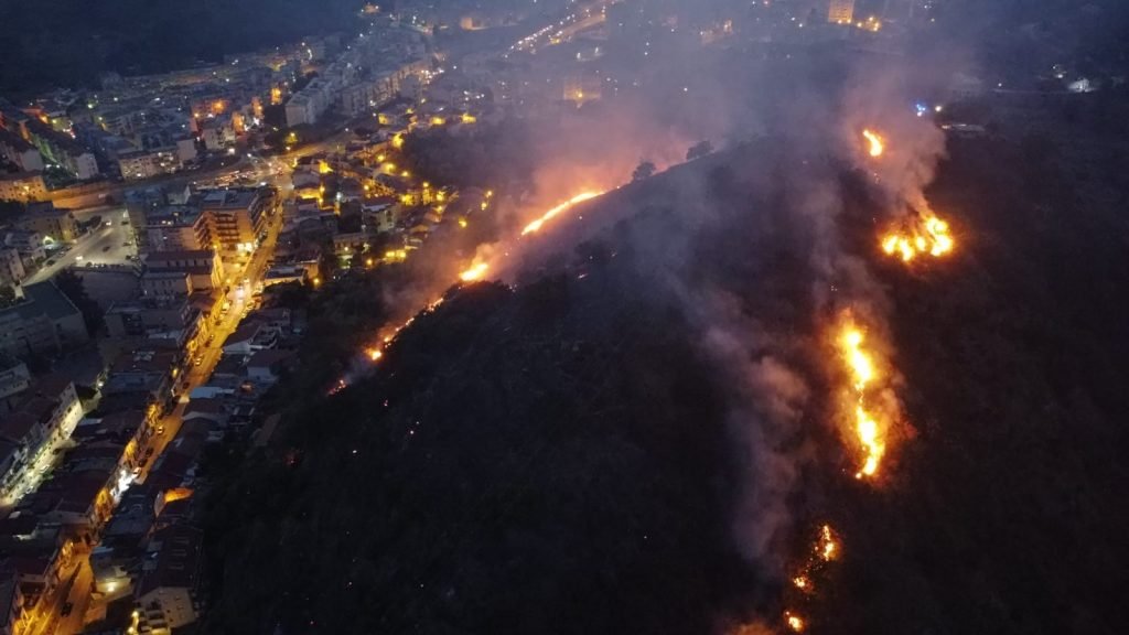 WhatsApp Image 2021 07 30 at 20.55.05 1