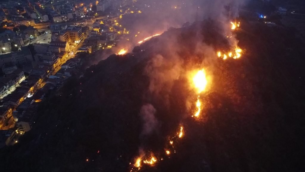 WhatsApp Image 2021 07 30 at 20.55.13