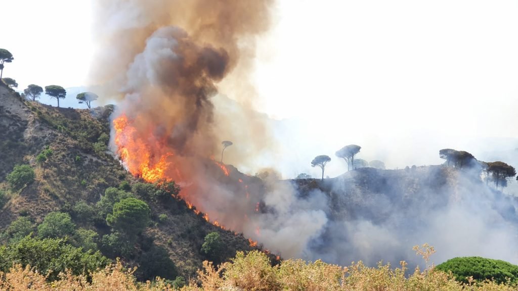 WhatsApp Image 2021 07 31 at 16.22.30