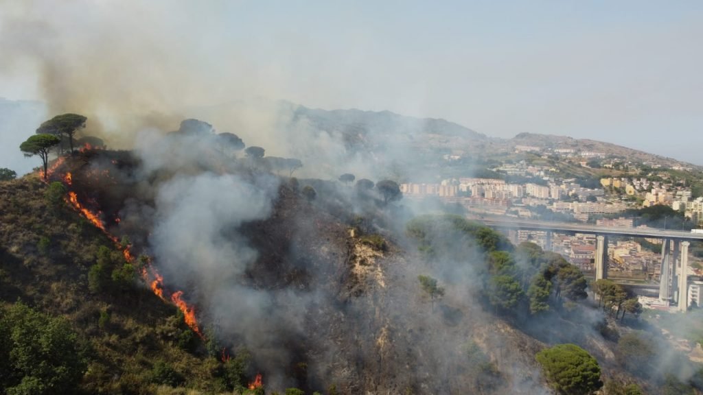 WhatsApp Image 2021 07 31 at 16.22.31