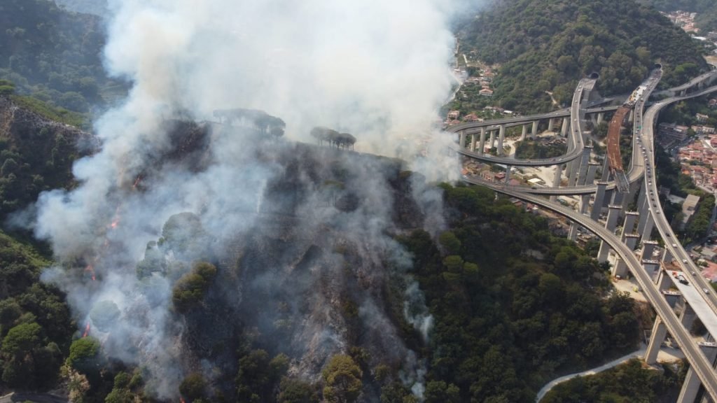 WhatsApp Image 2021 07 31 at 16.22.36