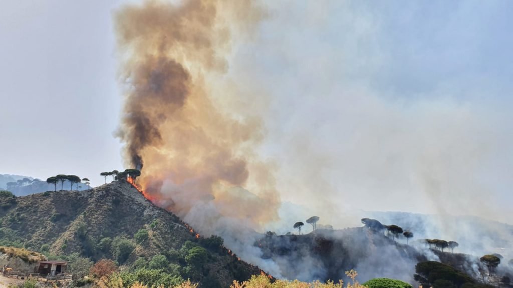 WhatsApp Image 2021 07 31 at 16.22.38