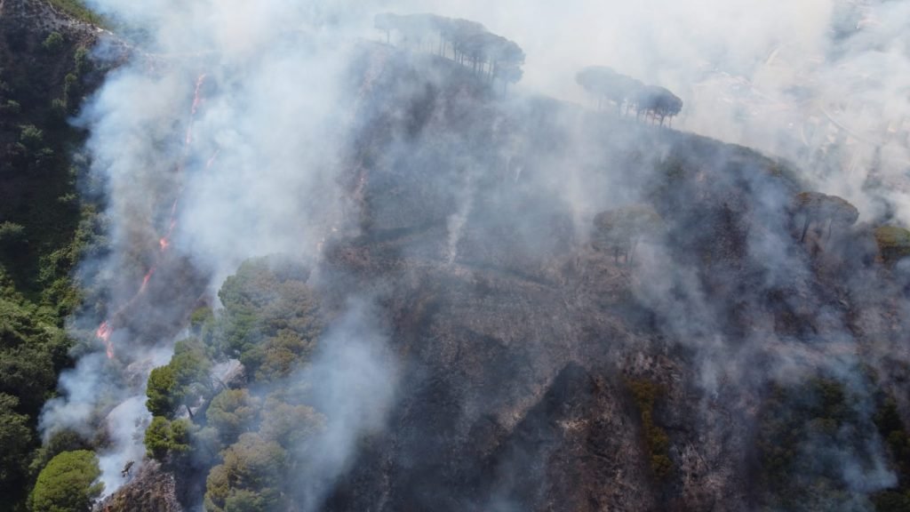 WhatsApp Image 2021 07 31 at 16.22.43