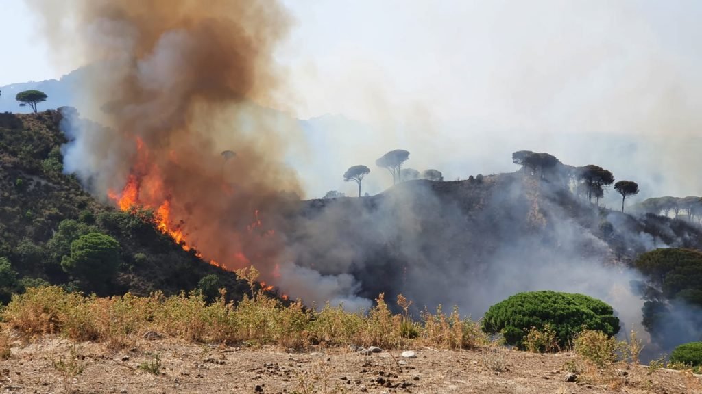 WhatsApp Image 2021 07 31 at 16.22.52