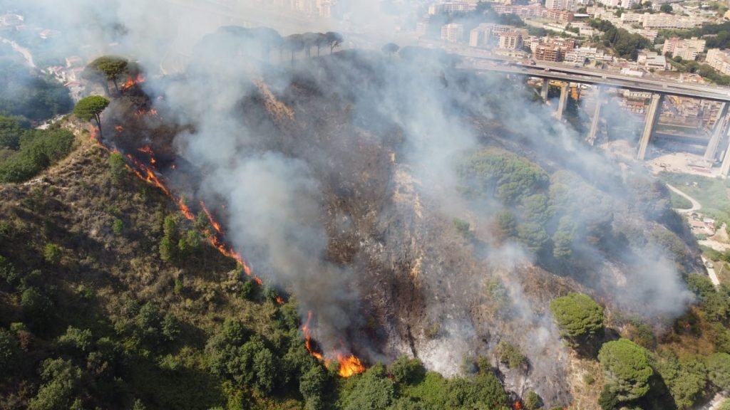 WhatsApp Image 2021 07 31 at 16.22.58