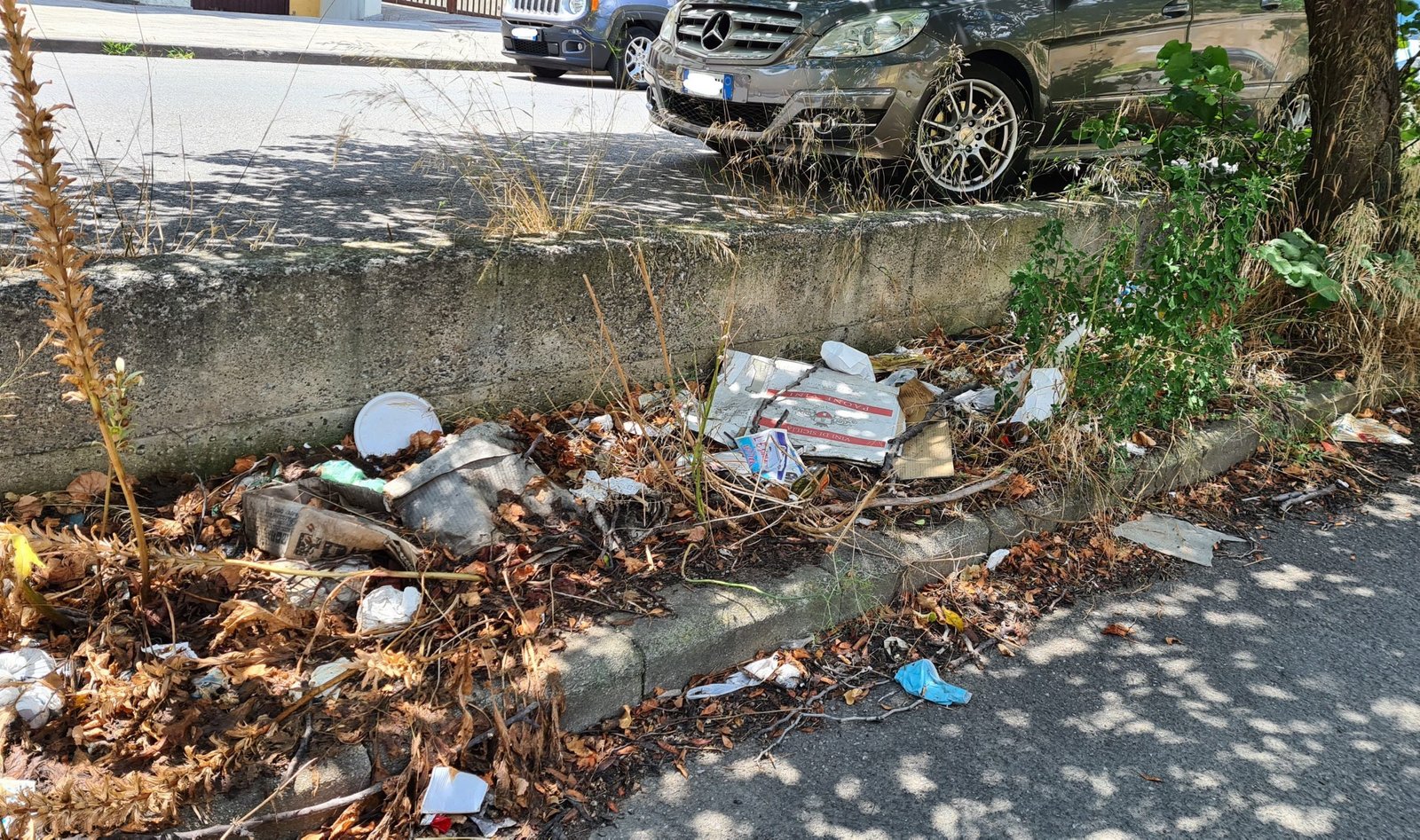 Mancato spazzamento a Camaro Superiore, Geraci (M5S): “Che fine ha fatto la macchina spazzatrice?” 1 Inked20210720 123639d LI scaled