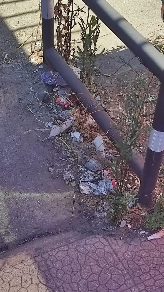 WhatsApp Image 2021 08 07 at 12.25.12 3