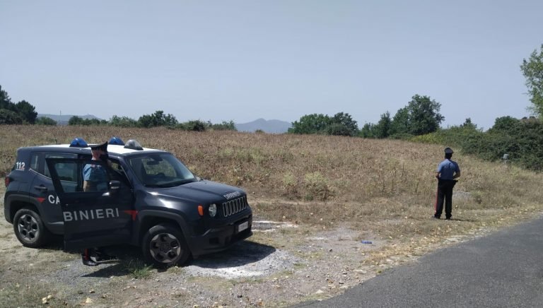 Montalbano Elicona (ME): Imponevano a due vittime il pascolo delle loro mandrie sui propri terreni. 4 allevatori arrestati dai Carabinieri.