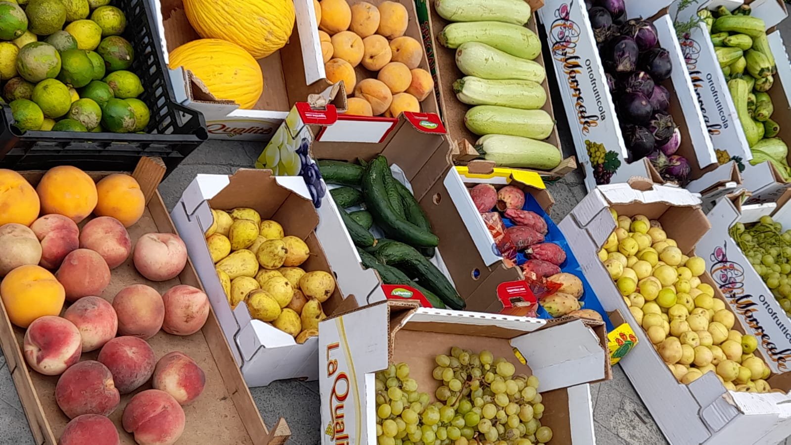Messina Nord - La Polizia Specialistica della Municipale effettua sequestro di frutta e verdura 1 IMG 20210923 WA0020