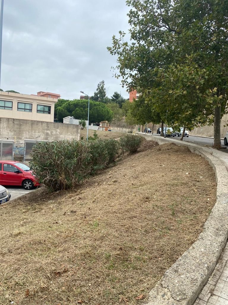 WhatsApp Image 2021 09 20 at 17.49.58 1