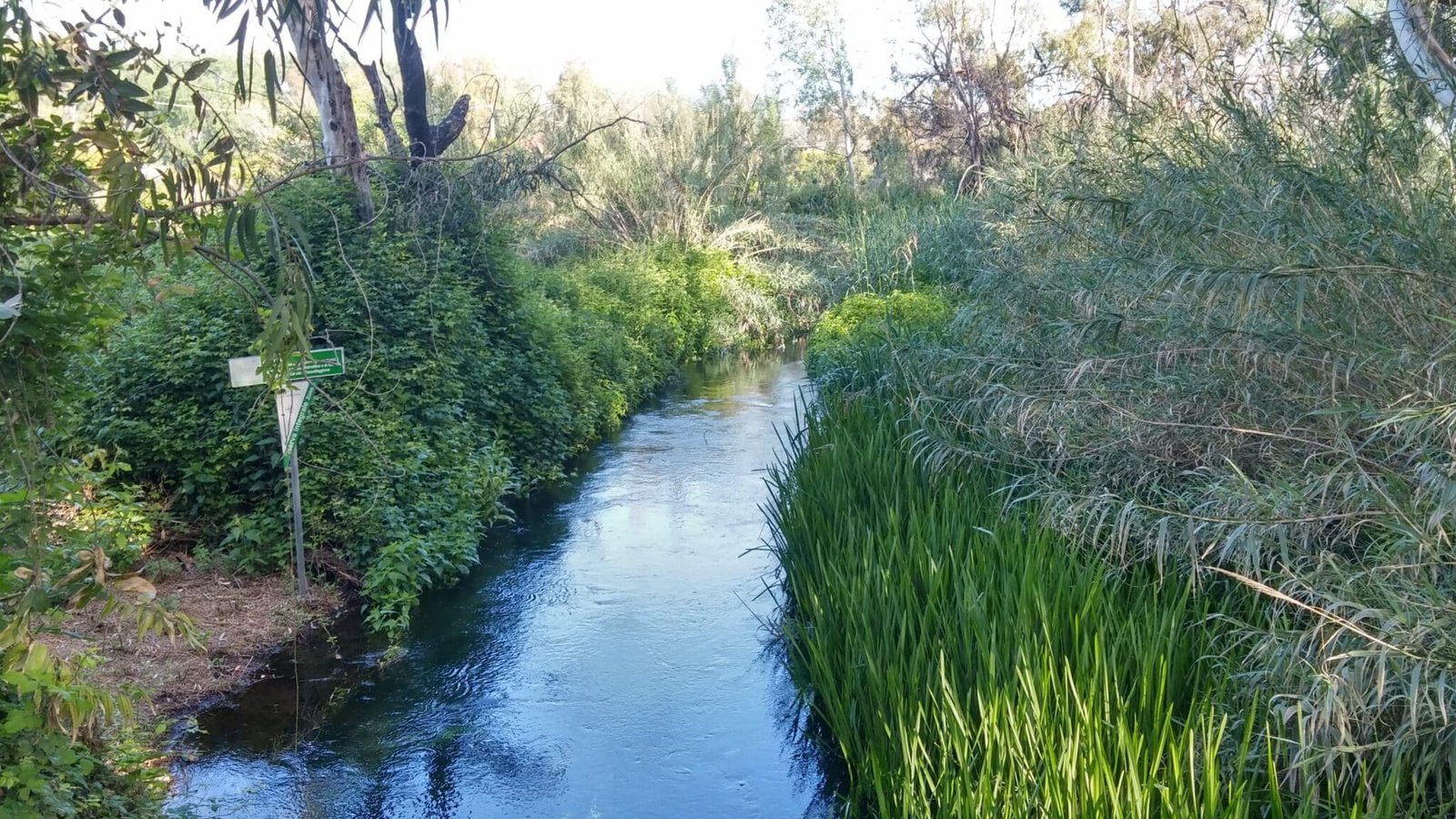 Fiumefreddofiume scaled