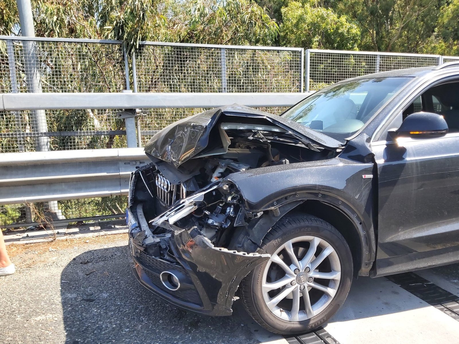 Immagine WhatsApp 2024 07 30 ore 17.35.54 a8e739f1 scaled