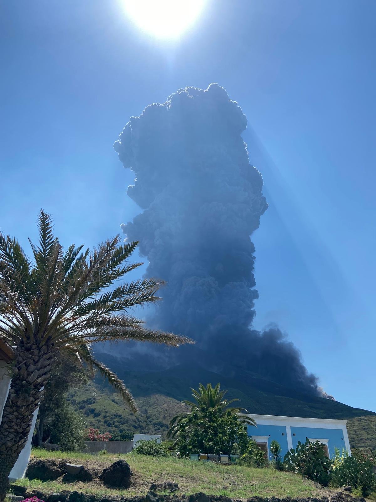 WhatsApp Image 2024 07 11 at 16.16.14