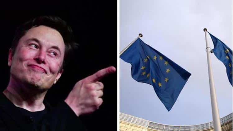 Ue boccia X, il social di Musk viola le regole e inganna gli utenti 1 musk ue