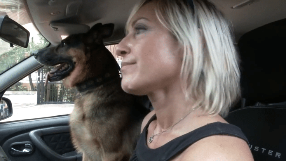 VIDEO - #SENONTIPORTONONPARTO: LO SPOT DELLA POLIZIA DI STATO CONTRO L’ABBANDONO DEGLI ANIMALI 1 vlcsnap 2024 07 22 11h13m00s081