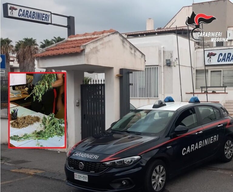 TAORMINA, COLTIVAVA CANNABIS NEL TERRENO DI CASA. 50ENNE ARRESTATO DAI CARABINIERI