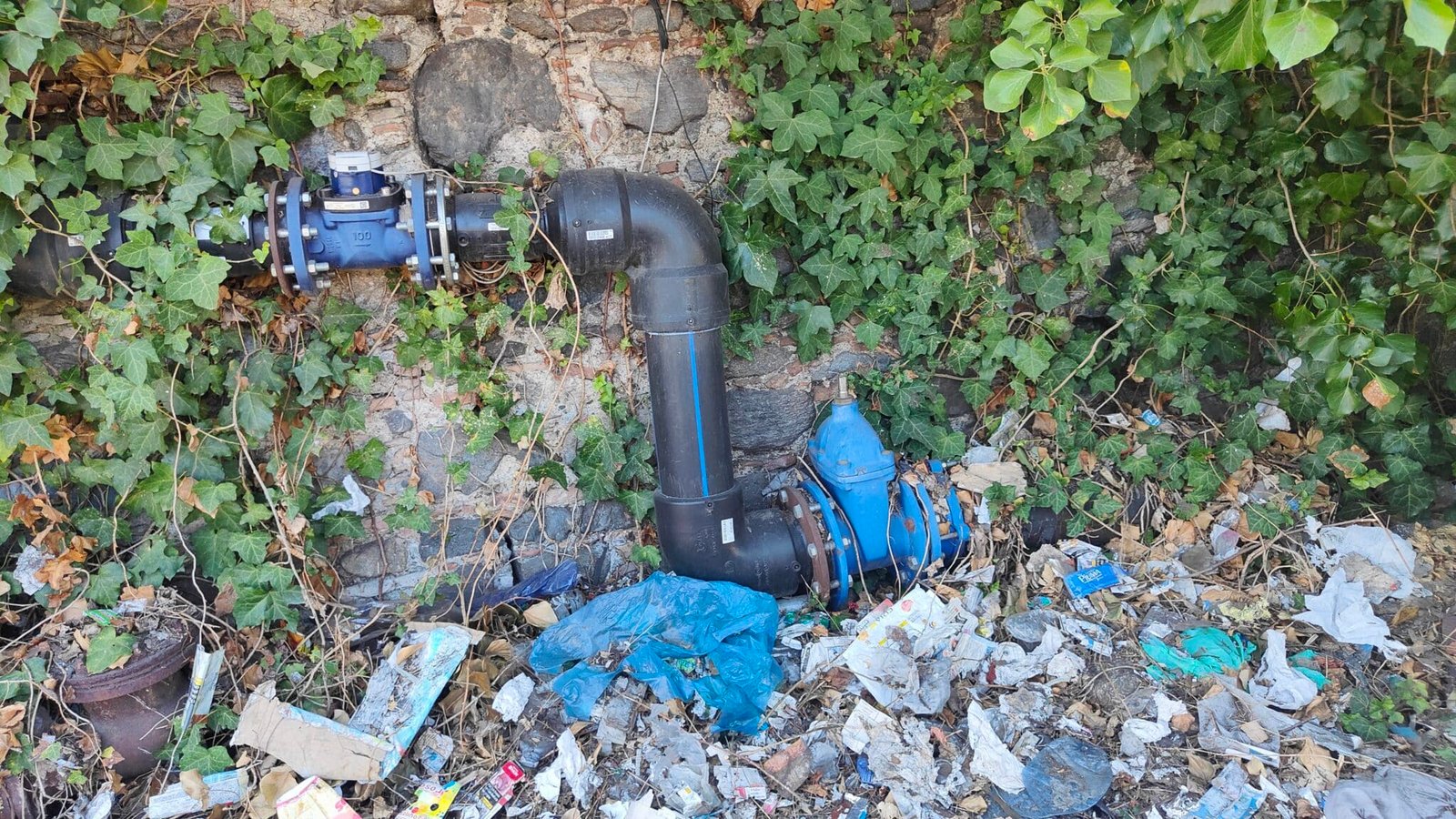 IMG20240807110038 scaled