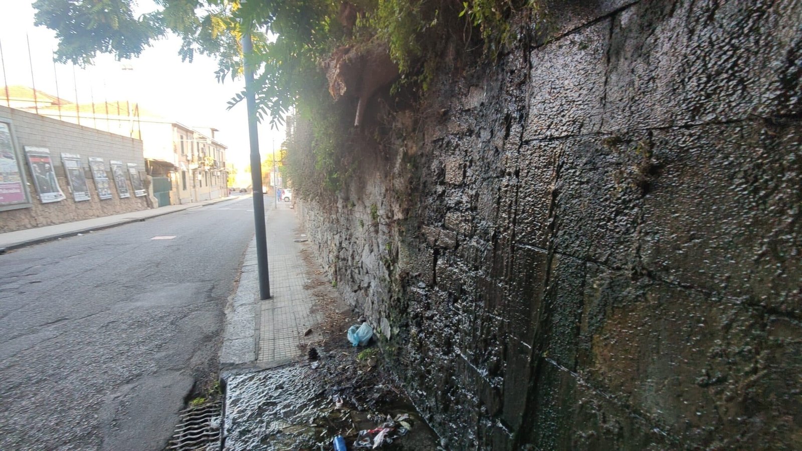 IMG20240816185023 scaled