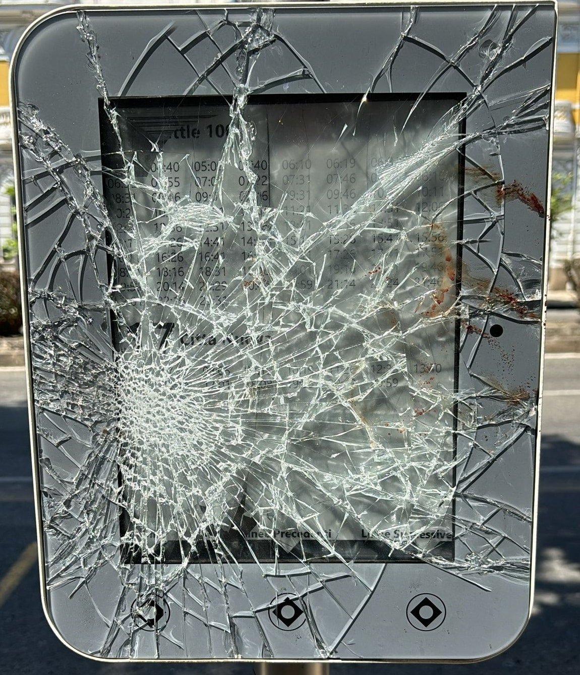 WhatsApp Image 2024 08 09 at 13.27.28 1