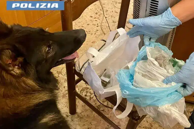 Pusher a 79 anni con 350 grammi di hashish in casa 1 cane droga