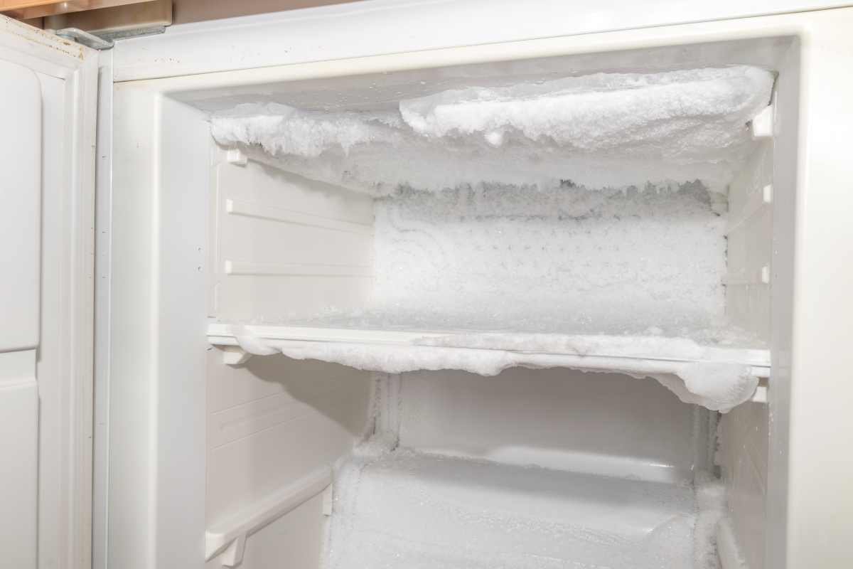 freezer2